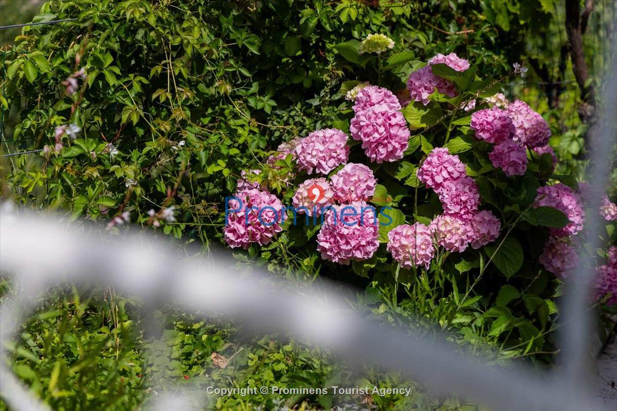 Villa Kety Makarska with pool