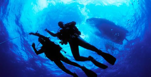 Scuba Diving - Makarska Rivijera
